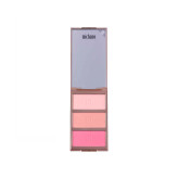 پالت رژگونه مات 3 رنگ میچانو شماره MB-420
